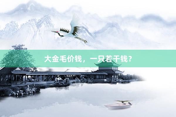 大金毛价钱，一只若干钱？