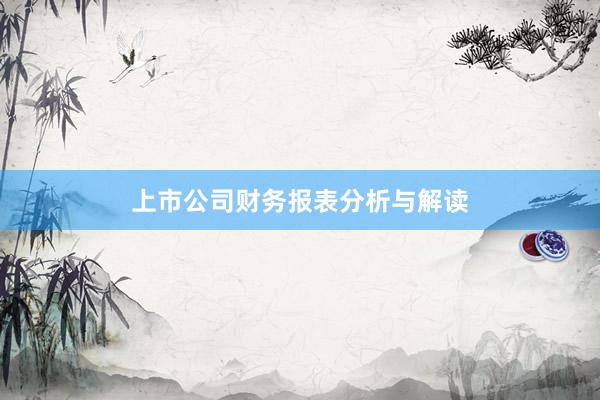 上市公司财务报表分析与解读